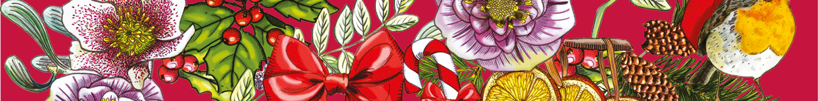 Coffret thé et tisane gourmand enchanté de Noël - 60 sachets : Tisanes,  infusions et rooibos bio PROVENCE D'ANTAN alimentation bio - botanic®